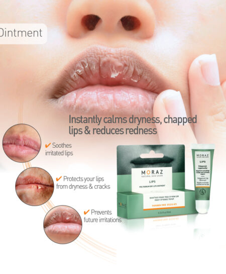 Infographic Lips Ointment